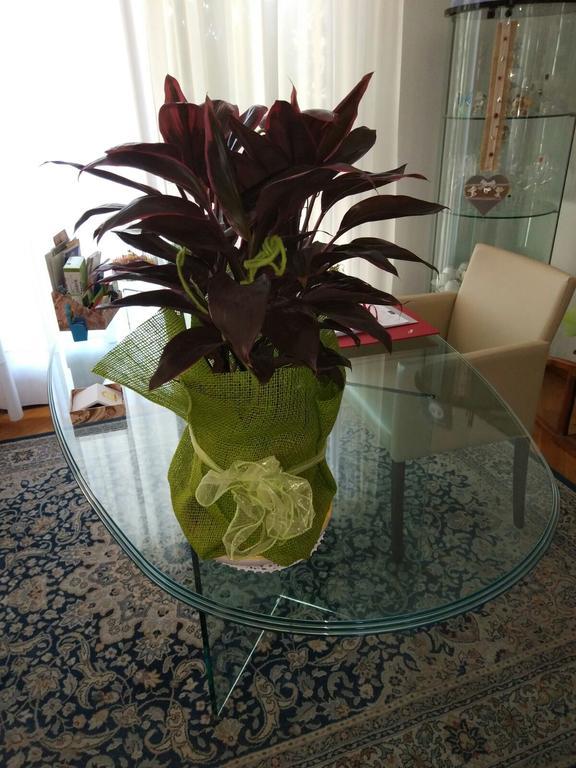 Marinella B&B Cornale Екстериор снимка